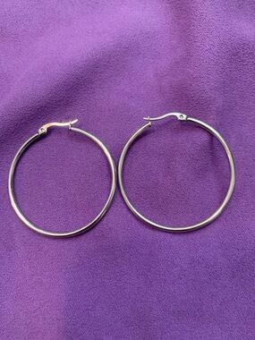 NWOT Stainless Silver Hoop Earrings